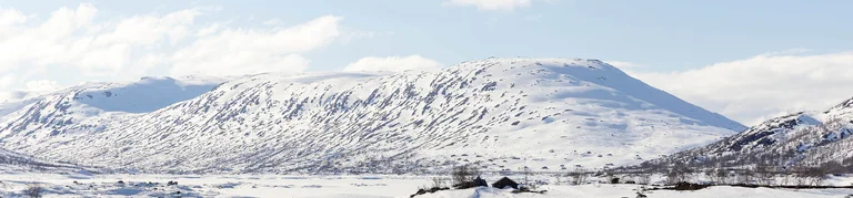 A scenic picture of a large, snow-capped mountain.