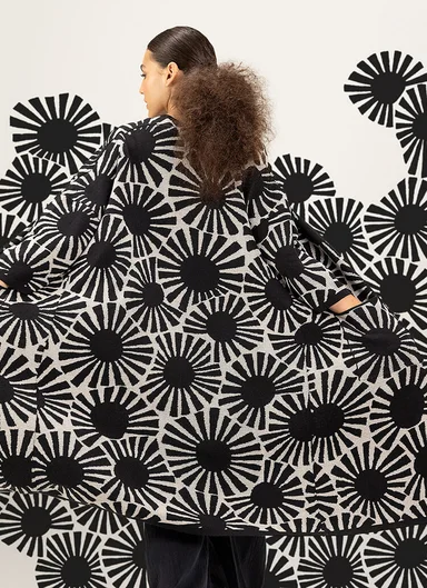 Inspiration The Japanese sun