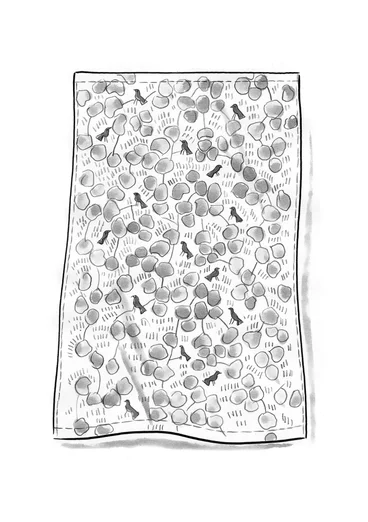 “Galapagos” curtain in organic cotton - dusty green