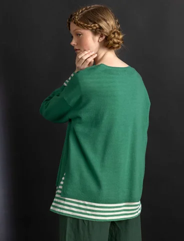 Pull en laine biologique - malachite