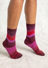 “Siv” socks in organic cotton - aubergine