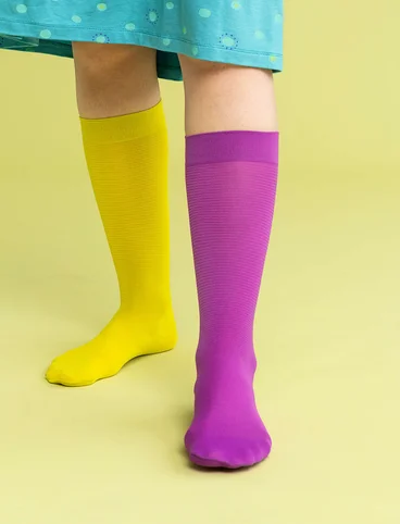 Striped knee-highs in recycled nylon - mayflower