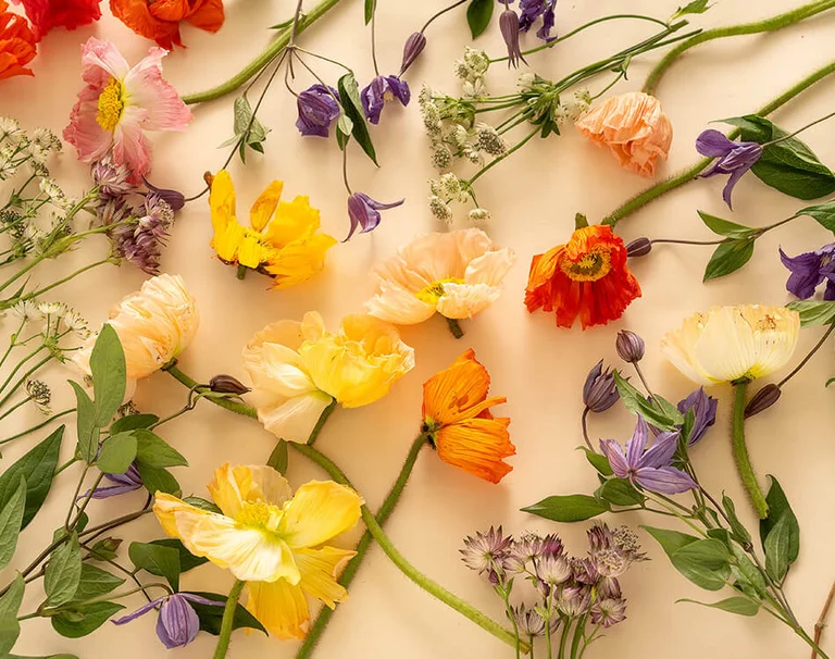 A watercolour painting of flowers.