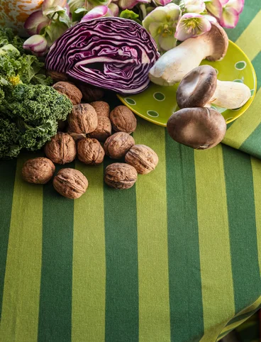 “Långrand” tablecloth in organic cotton - kiwi