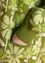 Long gilet "Adele" en coton biologique (vert herbe S)