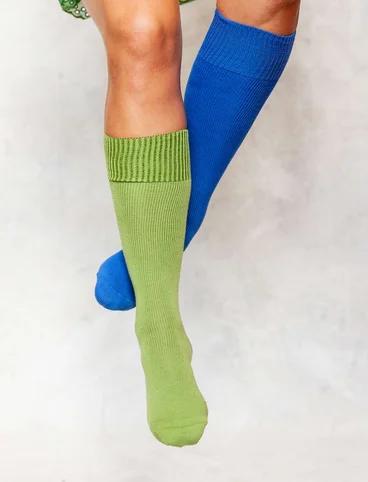 Solid-colour organic cotton knee-highs - blue lotus