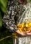 Webkleid „Floria“ aus Öko-Baumwolle (dunkelaschgrau-melange S)