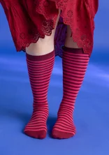 Striped knee-highs in organic cotton  - dark hibiscus/coral